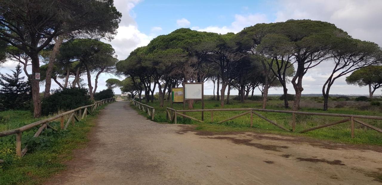 Las Nubes En Sancti Petri-Chiclana Chiclana de la Frontera Buitenkant foto